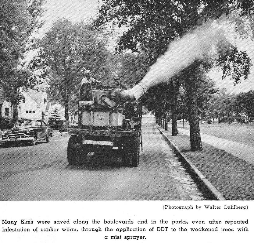 ddt-spray-1950-arb.jpg